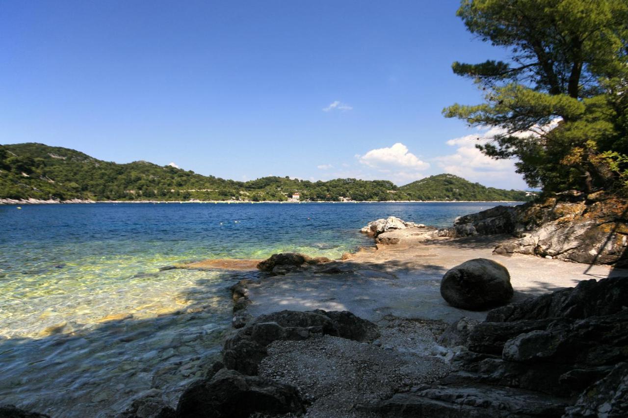 Apartments By The Sea Sobra, Mljet - 4908 Babino Polje Zewnętrze zdjęcie